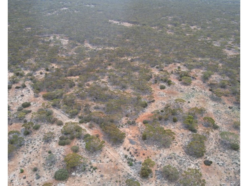5 & 221 Stott Highway and Pine Hut Road, Sedan SA 5353