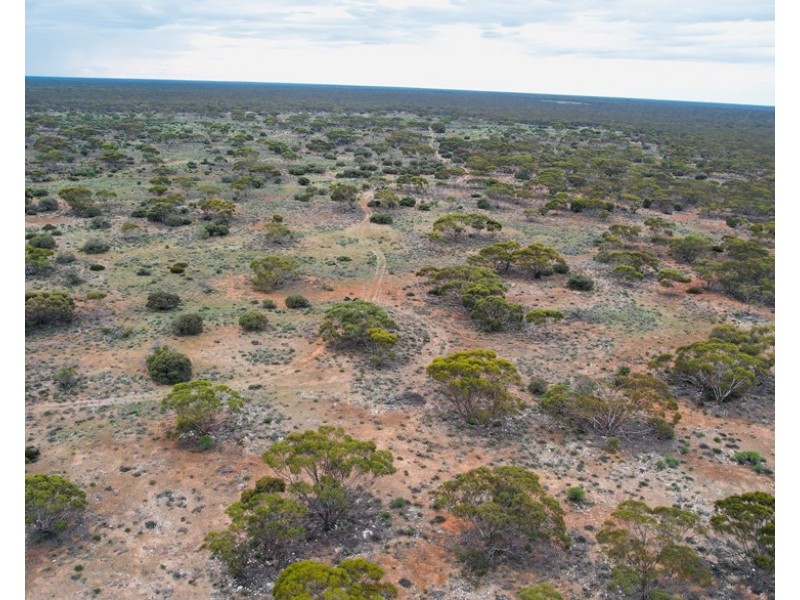 5 & 221 Stott Highway and Pine Hut Road, Sedan SA 5353