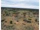 5 & 221 Stott Highway and Pine Hut Road, Sedan SA 5353