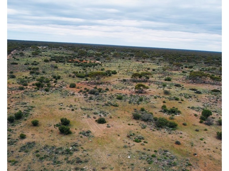 5 & 221 Stott Highway and Pine Hut Road, Sedan SA 5353