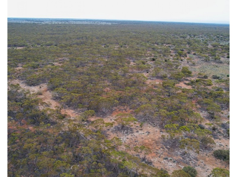 5 & 221 Stott Highway and Pine Hut Road, Sedan SA 5353
