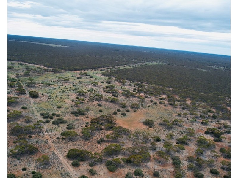 5 & 221 Stott Highway and Pine Hut Road, Sedan SA 5353