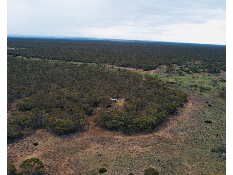5 & 221 Stott Highway and Pine Hut Road, Sedan SA 5353