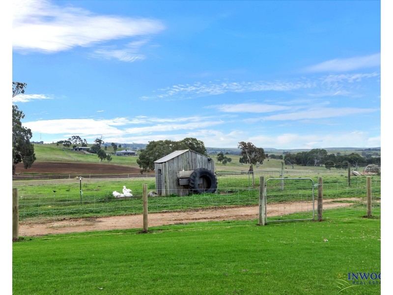 537 Cookes Hill Road, Springton SA 5235