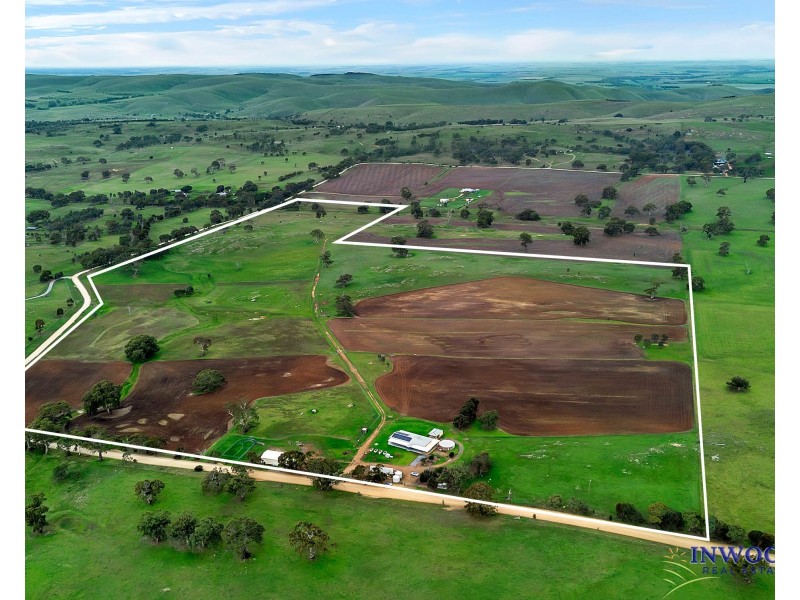 537 Cookes Hill Road, Springton SA 5235
