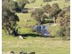 1 Brinkworth Range Road, Tungkillo SA 5236