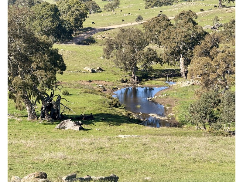 1 Brinkworth Range Road, Tungkillo SA 5236