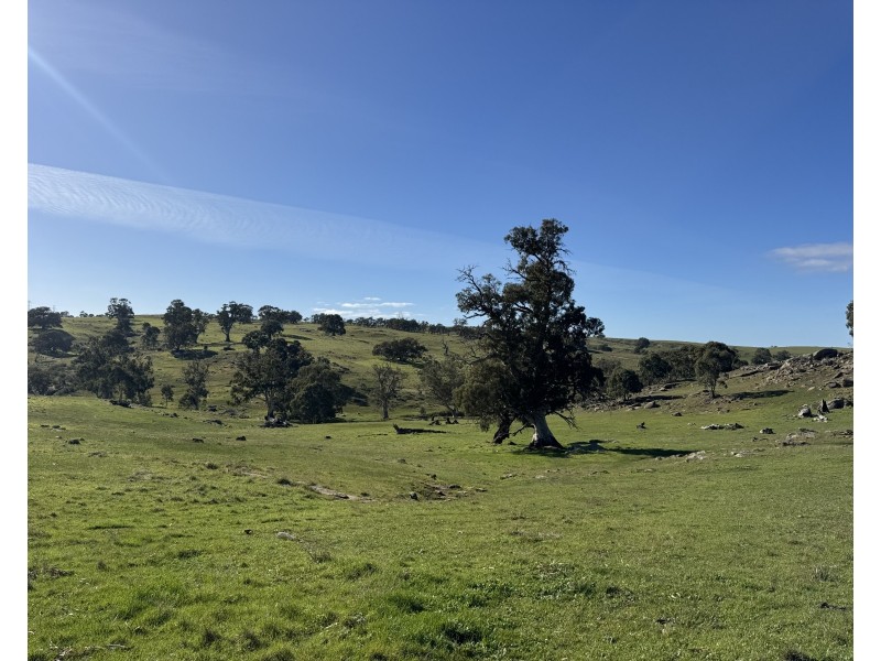 1 Brinkworth Range Road, Tungkillo SA 5236
