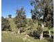 1 Brinkworth Range Road, Tungkillo SA 5236