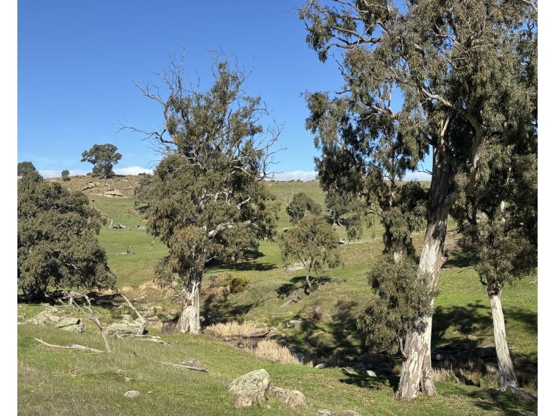 1 Brinkworth Range Road, Tungkillo SA 5236