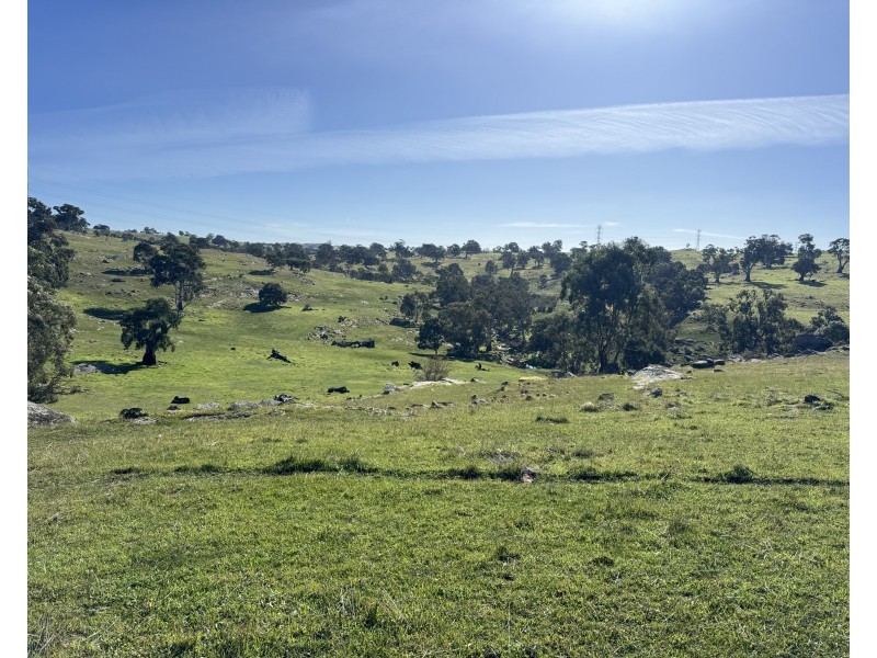 1 Brinkworth Range Road, Tungkillo SA 5236
