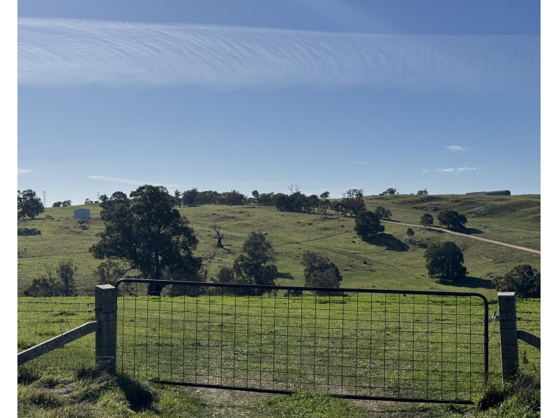 1 Brinkworth Range Road, Tungkillo SA 5236
