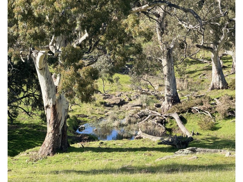 1 Brinkworth Range Road, Tungkillo SA 5236