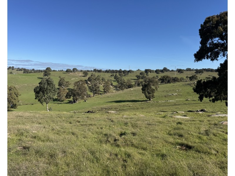 1 Brinkworth Range Road, Tungkillo SA 5236