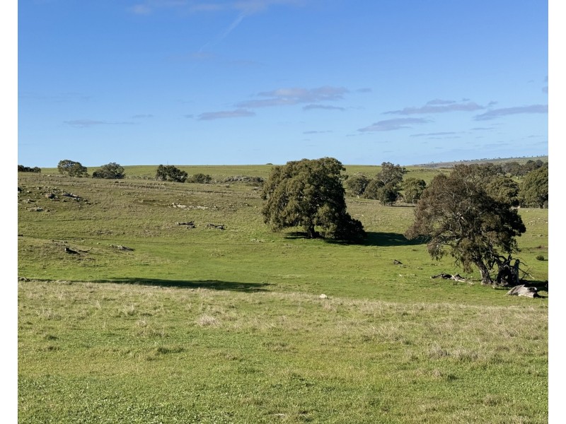 1 Brinkworth Range Road, Tungkillo SA 5236