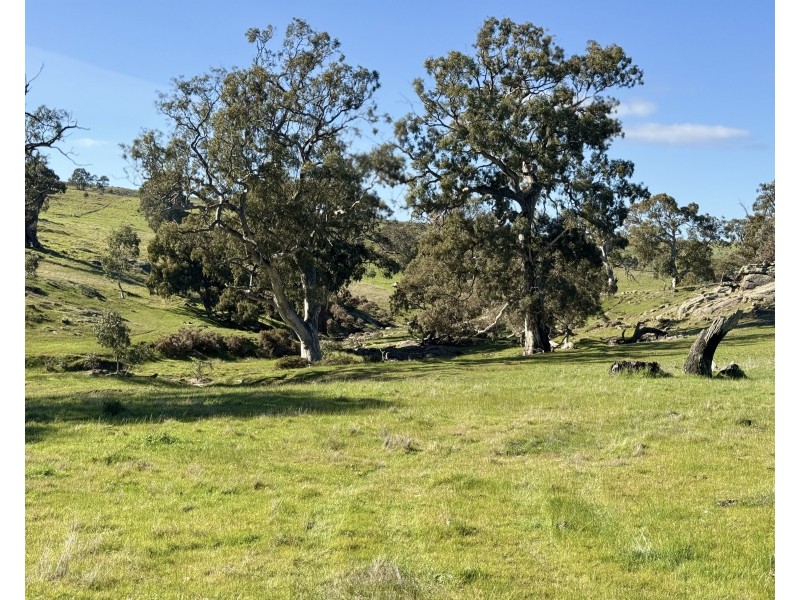 1 Brinkworth Range Road, Tungkillo SA 5236