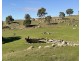 1 Brinkworth Range Road, Tungkillo SA 5236
