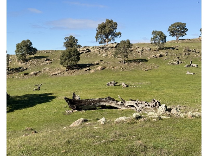 1 Brinkworth Range Road, Tungkillo SA 5236