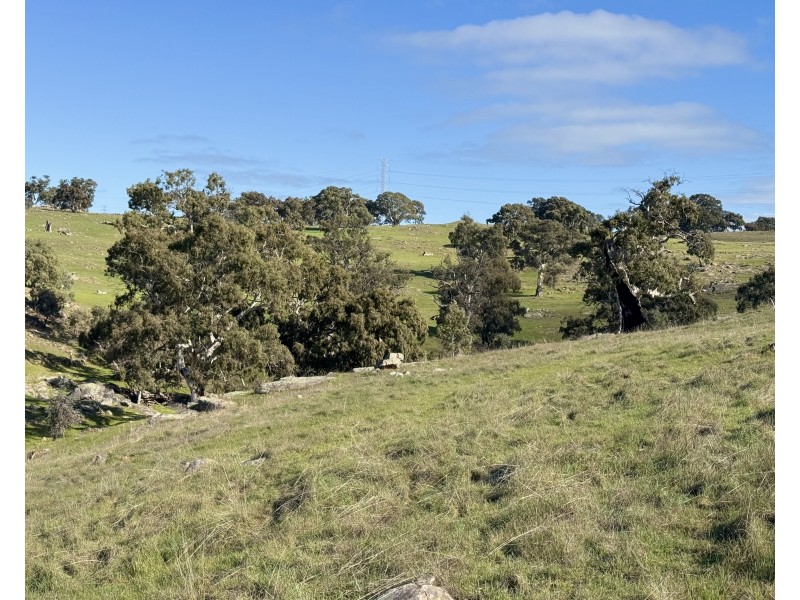1 Brinkworth Range Road, Tungkillo SA 5236