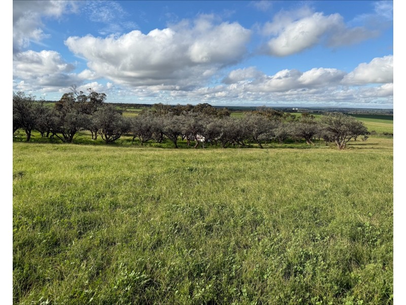 480 Three Chain Road, Cambrai SA 5353