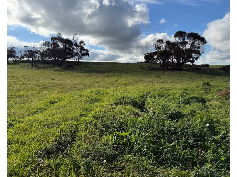 480 Three Chain Road, Cambrai SA 5353
