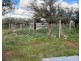 480 Three Chain Road, Cambrai SA 5353
