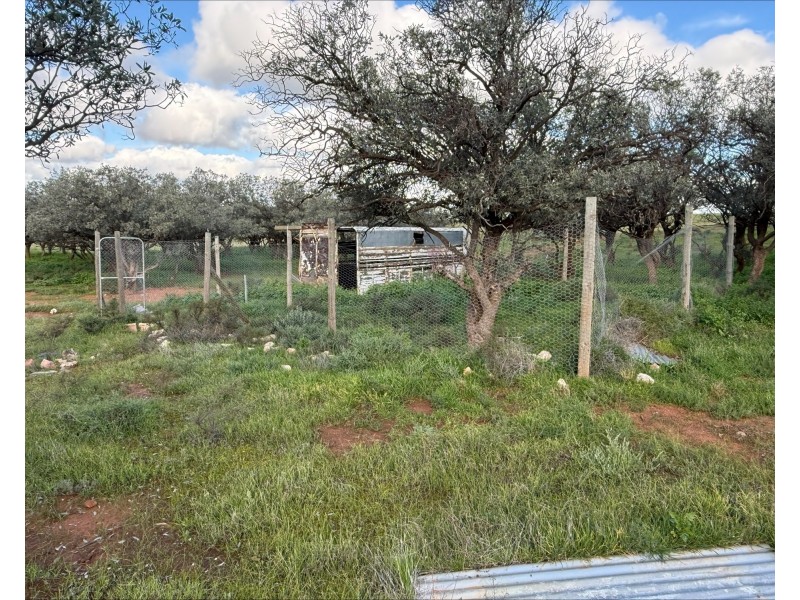 480 Three Chain Road, Cambrai SA 5353