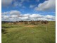 480 Three Chain Road, Cambrai SA 5353