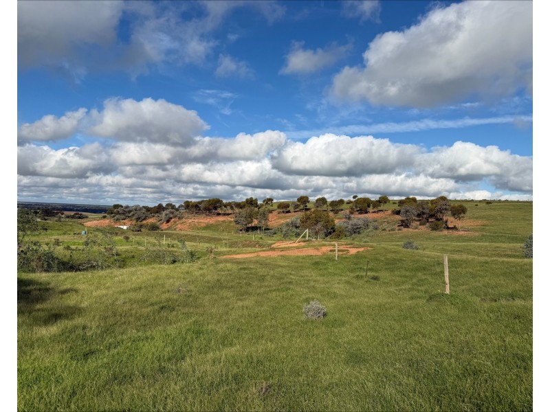 480 Three Chain Road, Cambrai SA 5353