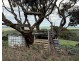 480 Three Chain Road, Cambrai SA 5353