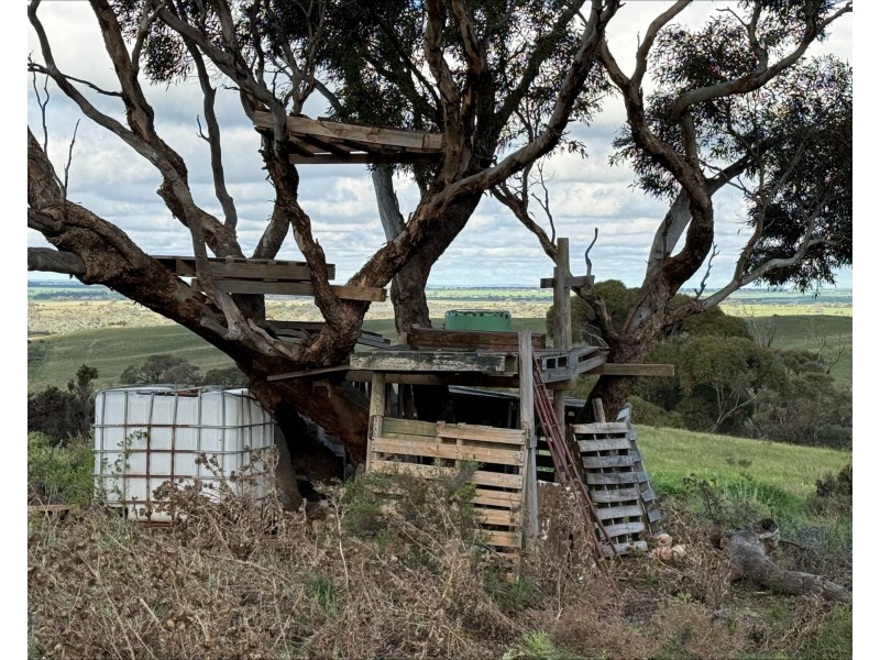480 Three Chain Road, Cambrai SA 5353