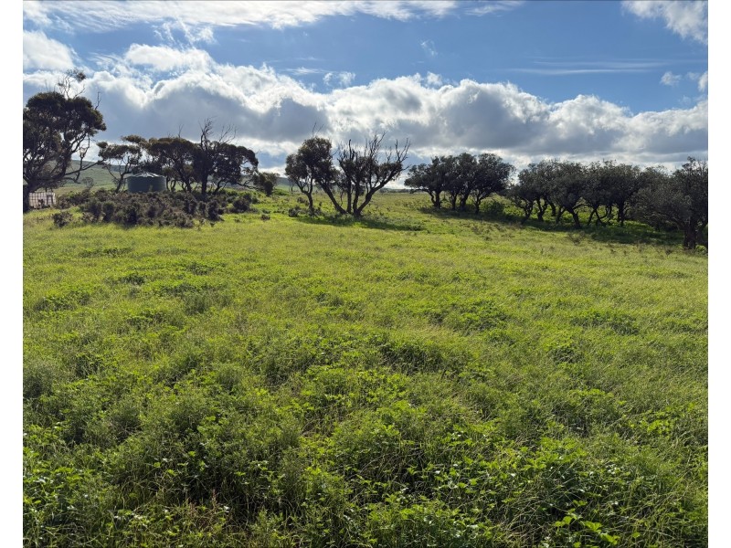 480 Three Chain Road, Cambrai SA 5353