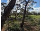 163 Tungali Road, Sandleton SA 5356