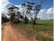 163 Tungali Road, Sandleton SA 5356