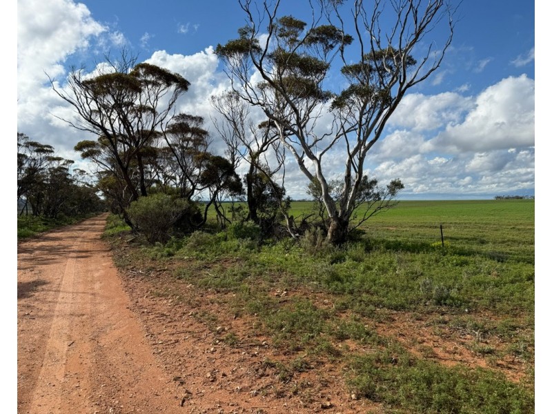 163 Tungali Road, Sandleton SA 5356