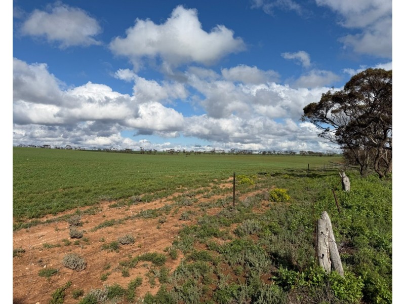 163 Tungali Road, Sandleton SA 5356