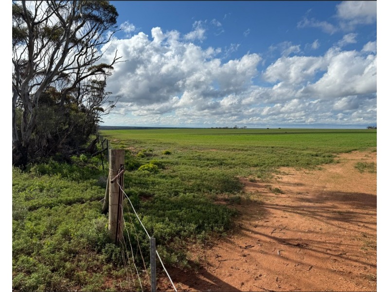 163 Tungali Road, Sandleton SA 5356