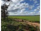 163 Tungali Road, Sandleton SA 5356