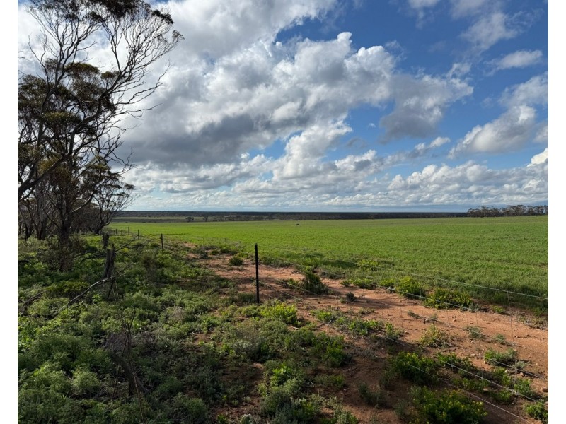 163 Tungali Road, Sandleton SA 5356