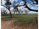 163 Tungali Road, Sandleton SA 5356