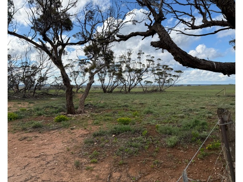 163 Tungali Road, Sandleton SA 5356