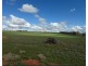 163 Tungali Road, Sandleton SA 5356