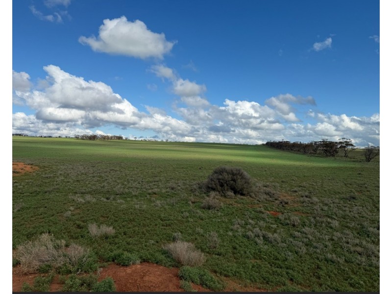 163 Tungali Road, Sandleton SA 5356