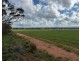 163 Tungali Road, Sandleton SA 5356
