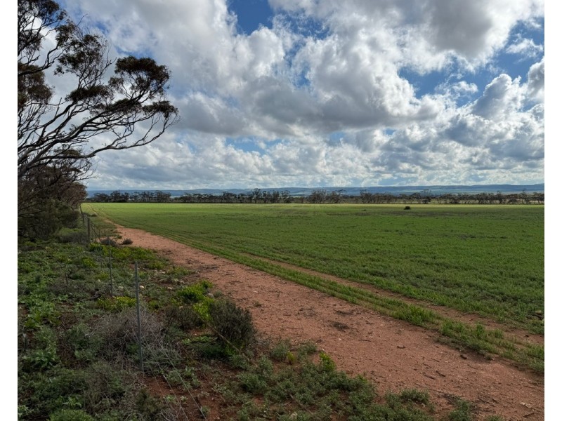 163 Tungali Road, Sandleton SA 5356
