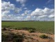 163 Tungali Road, Sandleton SA 5356
