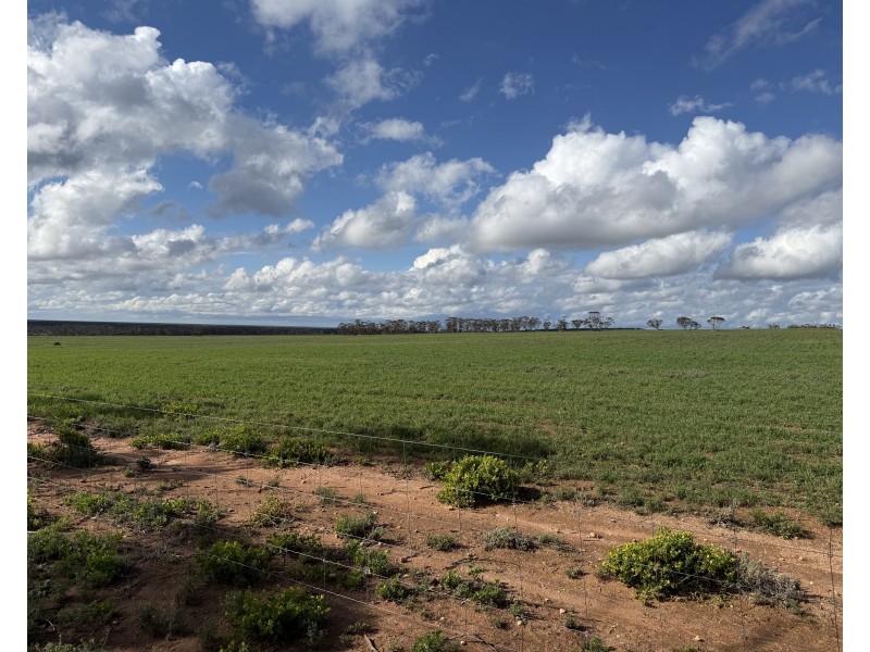 163 Tungali Road, Sandleton SA 5356