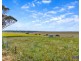 211 Rathjen Road, Palmer SA 5237