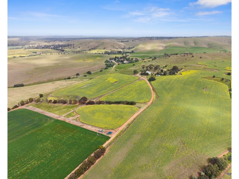 211 Rathjen Road, Palmer SA 5237