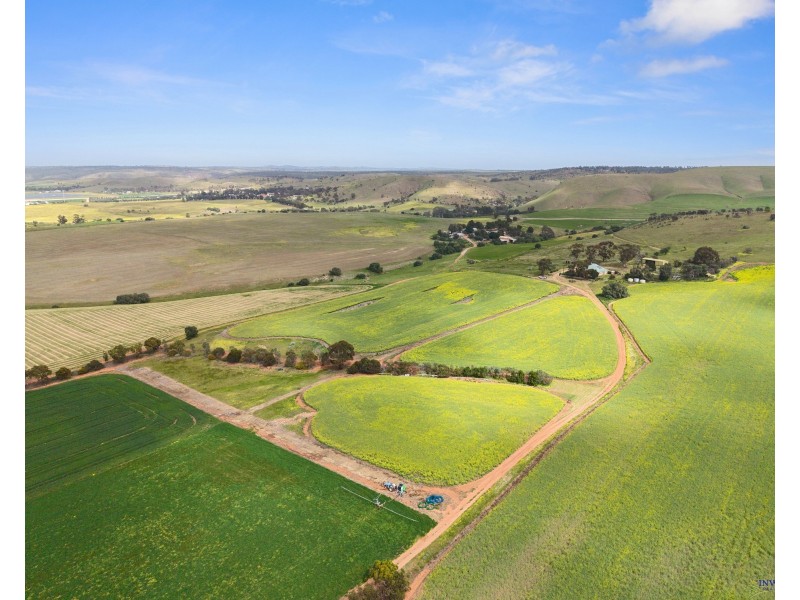 211 Rathjen Road, Palmer SA 5237